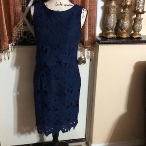 Elegant Crop Top Lace Dress